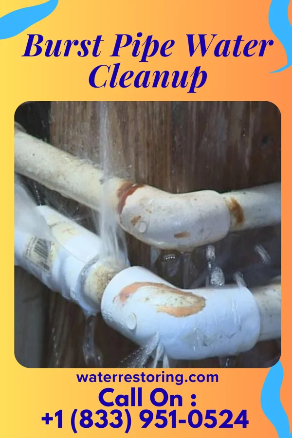 Burst Pipe Water Cleanup in Perry, GA