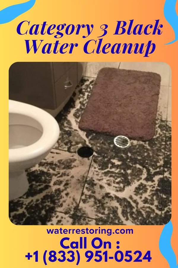 Category 3 Black Water Cleanup in Perry, GA