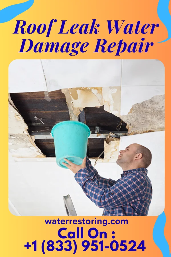 Roof Leak Water Damage Repair in Perry, GA